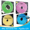 Dây led neon 12V 6x12mm dài 5m