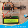 Module cảm biến nhiệt độ DS18B20