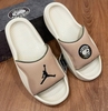 Nike Jordan Franchise Slide - Hemp/Oatmeal/Medium Olive/Noir HQ8112 200