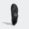 Adidas Predator Accelerator FG - Black/Core Black FZ5428