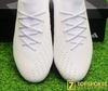 Adidas Predator Accuracy.1 L FG - White GW4576