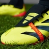 Adidas Predator 24+ Elite FG - Team Solar Yellow 2/Core Black/Solar Red IE1812
