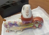 Adidas F50 Elite FG Mo Salah - Cloud White/Thermal Gold Metallic/Golden Beige KJ1901