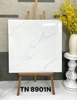 tn8901n