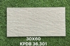 kbdp-36-301