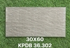 kbdp-36-302