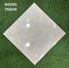 tn609