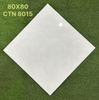 ctn8015