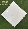 ctn8013