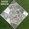 rs5518