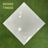 tn600
