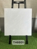 th6601