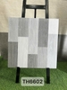 th6602