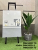 tnm38201