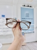 Gọng Kính P01249-C4