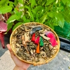 Xông NHÀ Tẩy Uế Thảo Dược Thanh Lọc Không Khí, Đem Lại Tốt Lành, Thông Thoáng Môi Trường