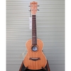 dan-ukulele-concert-andrew-cx83-vinaguitar-phan-phoi-chinh-hang