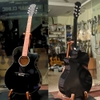 dan-guitar-acoustic-vinaguitar-vg-ded-cu-luot-nhu-moi-96