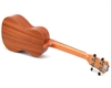 dan-ukulele-concert-tenor-music-ca-heo-tang-phu-kien-vinaguitar-phan-phoi-chinh-
