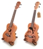 dan-ukulele-concert-tenor-music-ca-heo-tang-phu-kien-vinaguitar-phan-phoi-chinh-