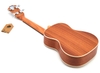 dan-ukulele-concert-music-mvv-go-mahogany-vinaguitar-phan-phoi-chinh-hang