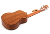 da-n-ukulele-carvan-music-uk-xs-go-koa-vinaguitar-phan-phoi-chinh-hang