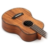 da-n-ukulele-carvan-music-uk-xs-go-koa-vinaguitar-phan-phoi-chinh-hang