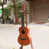 dan-ukulele-concert-rosen-k13-solid-top-mahogany-bevel-cao-cap-hang-thanh-ly-gia