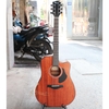 dan-guitar-acoustic-rosen-g15-vinaguitar-phan-phoi-chinh-hang