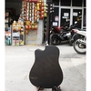dan-guitar-acoustic-rosen-g13