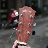 dan-guitar-acoustic-tayste-mv-mahogany-ts-21-40