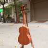 dan-ukulele-concert-rosen-k13-solid-top-mahogany-bevel-cao-cap-hang-thanh-ly-gia