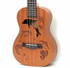 dan-ukulele-concert-music-ca-heo