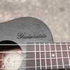 dan-ukulele-concert-yael-den