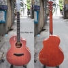 dan-guitar-acoustic-rosen-g13