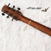 dan-guitar-acoustic-thuan-at02-edge