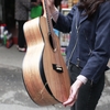 dan-guitar-acoustic-tayste-zebra-vat-ts-j35-a