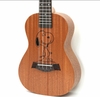 dan-ukulele-concert-music-snoopy-tang-full-phu-kien-vinaguitar-phan-phoi-chinh-h