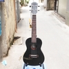 dan-ukulele-concert-yael-den