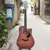 dan-guitar-acoustic-rosen-g13