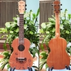 dan-ukulele-concert-yael-mg-trang-sao
