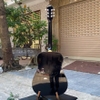 dan-guitar-acoustic-thanh-ly-ki-gui-epiphone-dr100-kem-eq-metb12-dan-loi-da-sua
