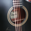 dan-guitar-acoustic-tayste-den-ts-23-40