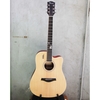 dan-guitar-acoustic-rosen-g12-vinaguitar-phan-phoi-chinh-hang