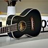 dan-ukulele-andrew-105-vinaguitar-phan-phoi-chinh-hang