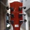 dan-guitar-acoustic-rosen-g15