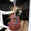 dan-guitar-acoustic-rosen-g12-vinaguitar-phan-phoi-chinh-hang