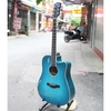 dan-guitar-acoustic-rosen-g13