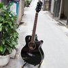 dan-guitar-acoustic-rosen-g12-vinaguitar-phan-phoi-chinh-hang