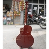 dan-guitar-acoustic-rosen-g13